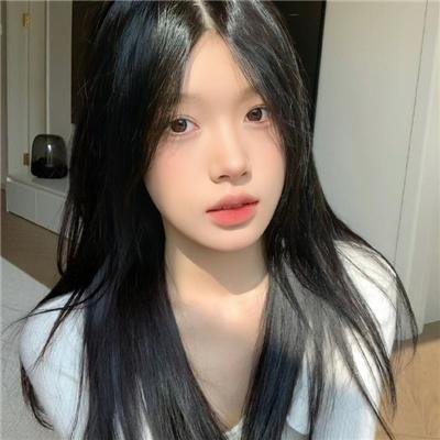 美国豚鼠