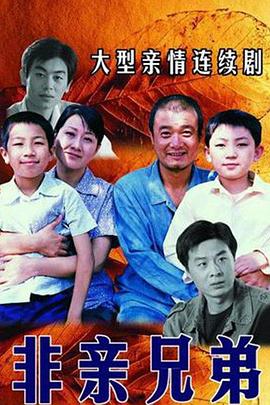 口袋里的拳头 封面图